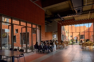 463个阶梯平台，铺满印度Prestige大学新建筑屋面(图24)