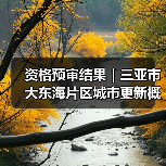资格预审结果｜三亚市大东海片区城市更新概念规划设计国际竞赛（图2）