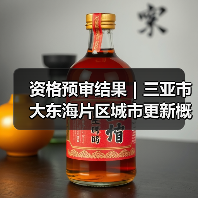 资格预审结果|三亚市大东海片区城市更新概念规划设计国际竞赛(图3) 资格预审结果|三亚市大东海片区城市更新概念规划设计国际竞赛(图3)