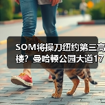 SOM将操刀纽约第三高楼？曼哈顿公园大道175号方案公布（图3）