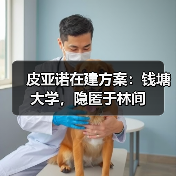 皮亚诺在建方案：钱塘大学，隐匿于林间（图2）