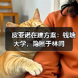 钱塘大学新校园设计：隐匿于林间的可持续创新
