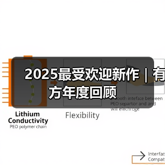 2025最受欢迎新作｜有方年度回顾（图3）