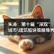 城市剧场：深港双城共建未完成工程