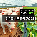 2025年度回顾：部多平台高光时刻与现场记录