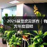 2025最受欢迎新作｜有方年度回顾（图1）
