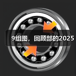 9组图，回顾部的2025（图4）