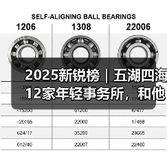 2025新锐榜|五湖四海12家年轻事务所,和他们的年度答卷(图3) 2025新锐榜|五湖四海12家年轻事务所,和他们的年度答卷(图3)