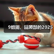 9组图，回顾部的2025（图2）