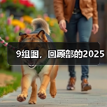 9组图，回顾部的2025（图3）