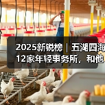 2025新锐榜｜五湖四海12家年轻事务所，和他们的年度答卷（图1）