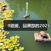 9组图，回顾部的2025（图3）