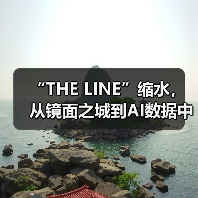 镜面之城缩水 转型AI数据中心