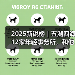 2025新锐榜｜五湖四海12家年轻事务所，和他们的年度答卷（图3）