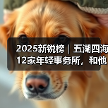2025新锐榜｜五湖四海12家年轻事务所，和他们的年度答卷（图2）