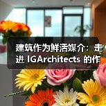 建筑作为鲜活媒介：走进 IGArchitects 的作品世界（图3）