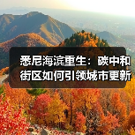 悉尼海滨重生:碳中和街区如何引领城市更新?(图3) 悉尼海滨重生:碳中和街区如何引领城市更新?(图3)
